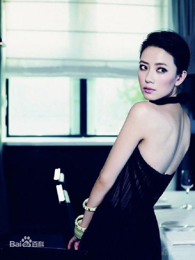 高清高圆圆(Gao Yuanyuan)精彩图册1