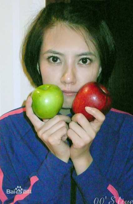 高清高圆圆(Gao Yuanyuan)精彩图册1