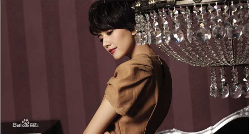 最全高圆圆(Gao Yuanyuan)精彩图册