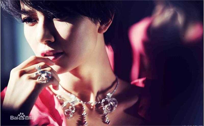 最全高圆圆(Gao Yuanyuan)精彩图册