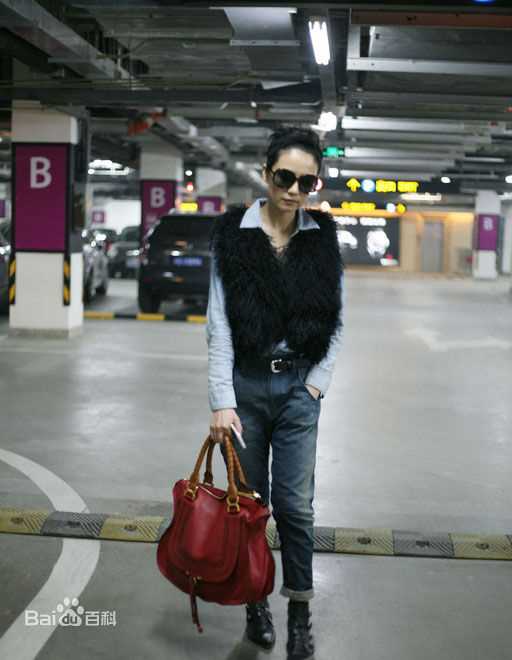 最全高圆圆(Gao Yuanyuan)精彩图册3