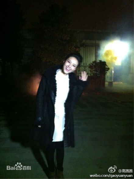 最全高圆圆(Gao Yuanyuan)精彩图册3