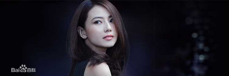 高圆圆(Gao Yuanyuan)前后照片