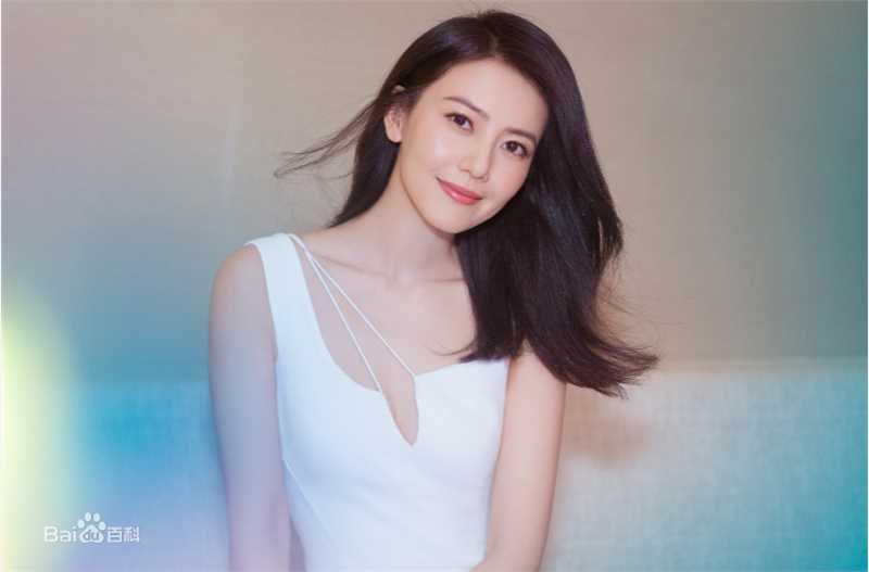 高圆圆(Gao Yuanyuan)前后照片