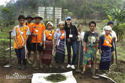 姚晨(Yao Chen)担任联合国难民署中国区代言人前后照片