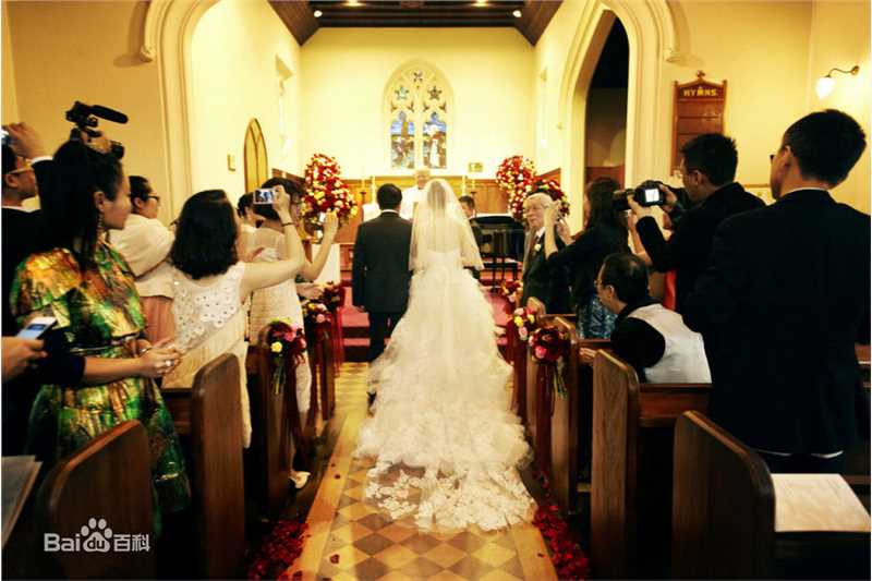 姚晨(Yao Chen)曹郁大婚图片图册