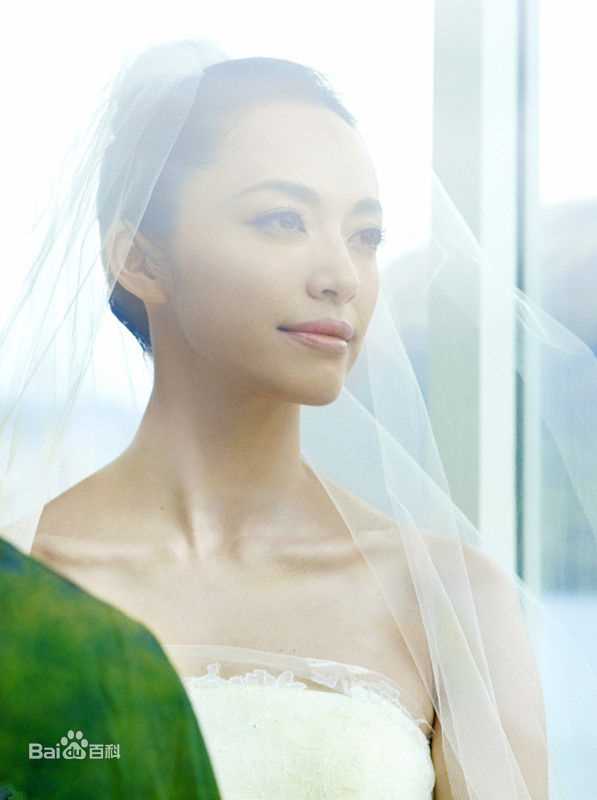 姚晨(Yao Chen)曹郁大婚图片图册