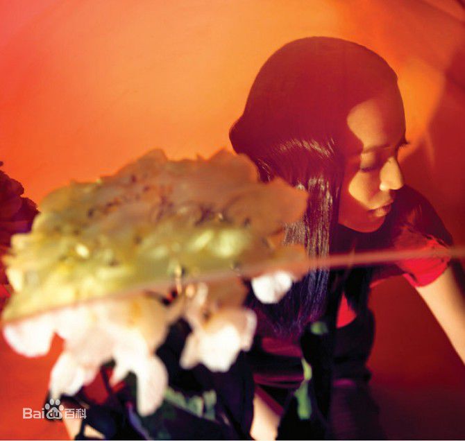 姚晨(Yao Chen)最全国外杂志壁纸