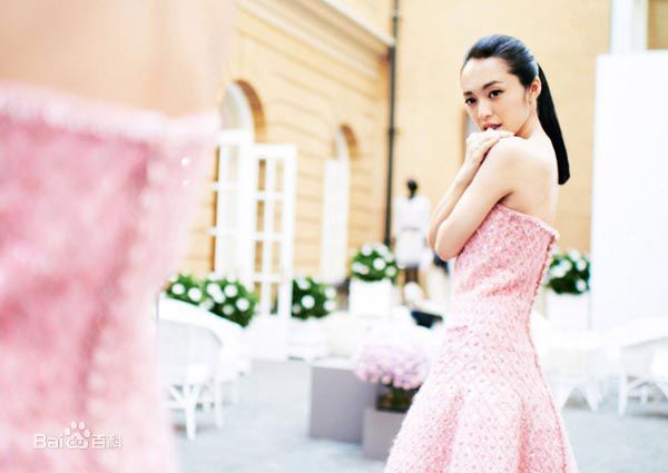 姚晨(Yao Chen)婚礼晚宴试装照素颜照相册