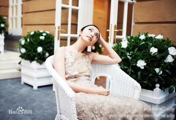 姚晨(Yao Chen)婚礼晚宴试装照素颜照相册