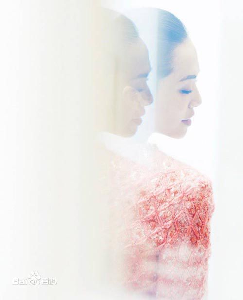 姚晨(Yao Chen)婚礼晚宴试装照素颜照相册