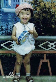 姚晨(Yao Chen)第14届华语电影传媒大奖获奖壁纸壁纸