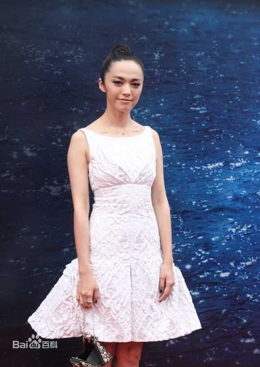 最优质姚晨(Yao Chen)精彩图册