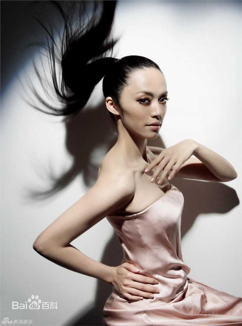 高清姚晨(Yao Chen)精彩图册