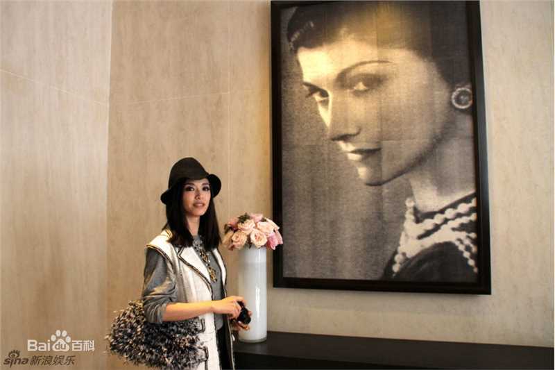 精选姚晨(Yao Chen)精彩图册