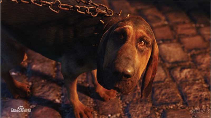 精选姚晨(Yao Chen)精彩图册