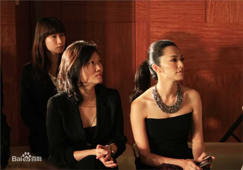 精选姚晨(Yao Chen)精彩图册