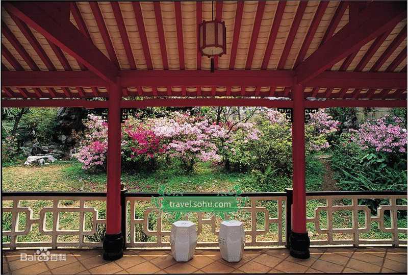 精选姚晨(Yao Chen)精彩图册