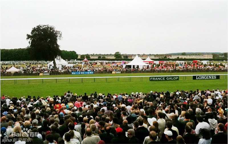 最新姚晨(Yao Chen)精彩图册