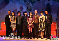 精选姚晨(Yao Chen)在《非诚勿扰2》发布会中的图册