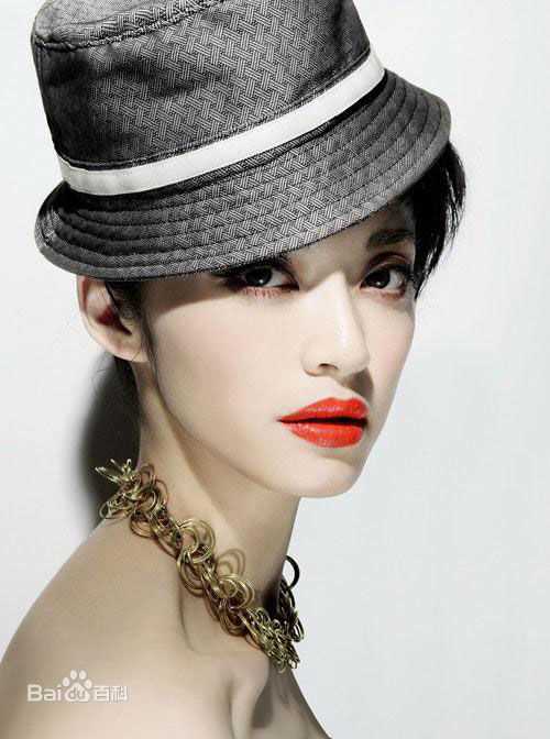 最优质姚晨(Yao Chen)精彩图册