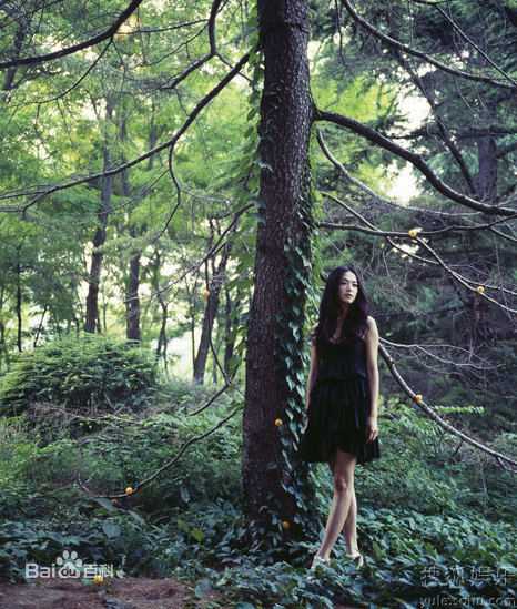 最全姚晨(Yao Chen)精彩图册