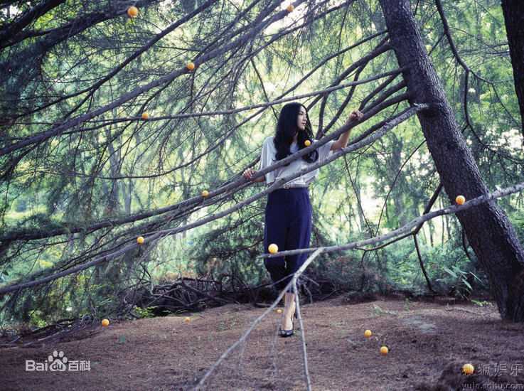 最全姚晨(Yao Chen)精彩图册