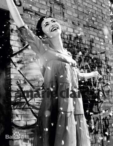 最全姚晨(Yao Chen)精彩图册