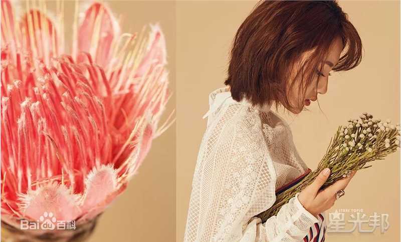 孙艺宁星光邦素颜照相册