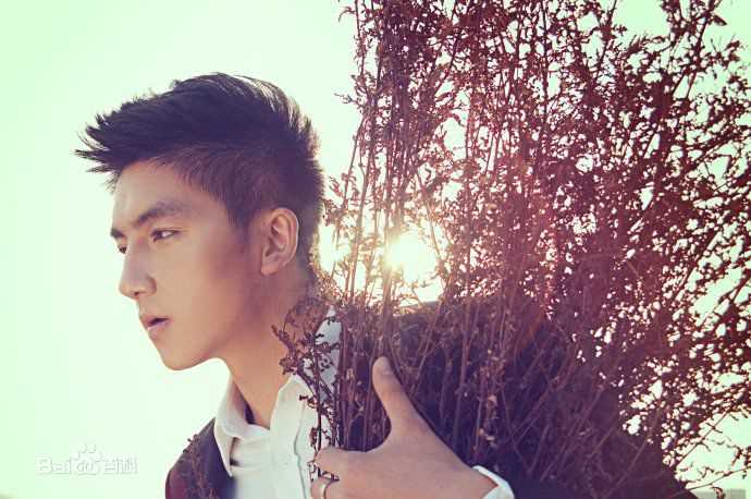 康磊(coca)现现代最全剧照