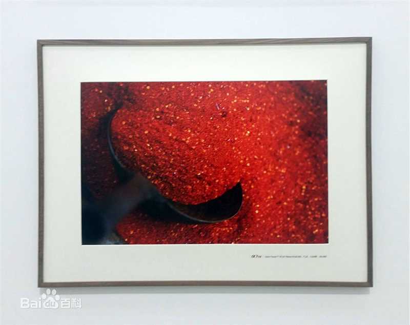 胡歌(Hugh)歌行云南摄影展图片图册