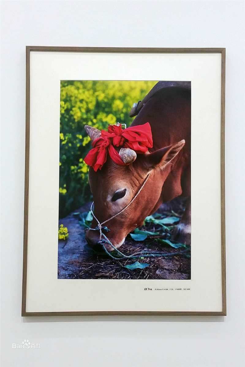 胡歌(Hugh)歌行云南摄影展图片图册