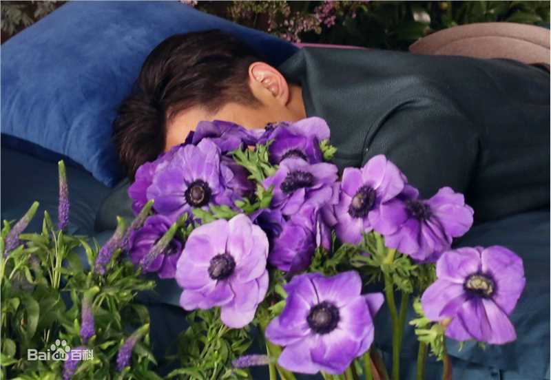 最新胡歌(Hugh)壁纸