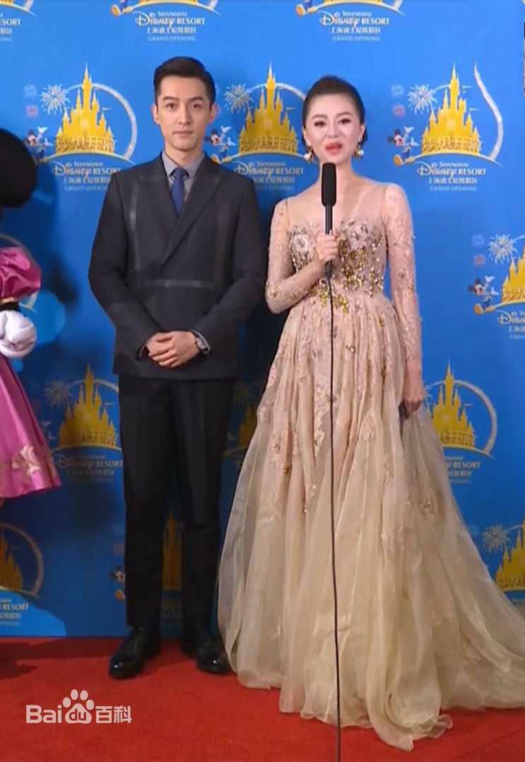 胡歌(Hugh)上海迪士尼开园盛典壁纸壁纸