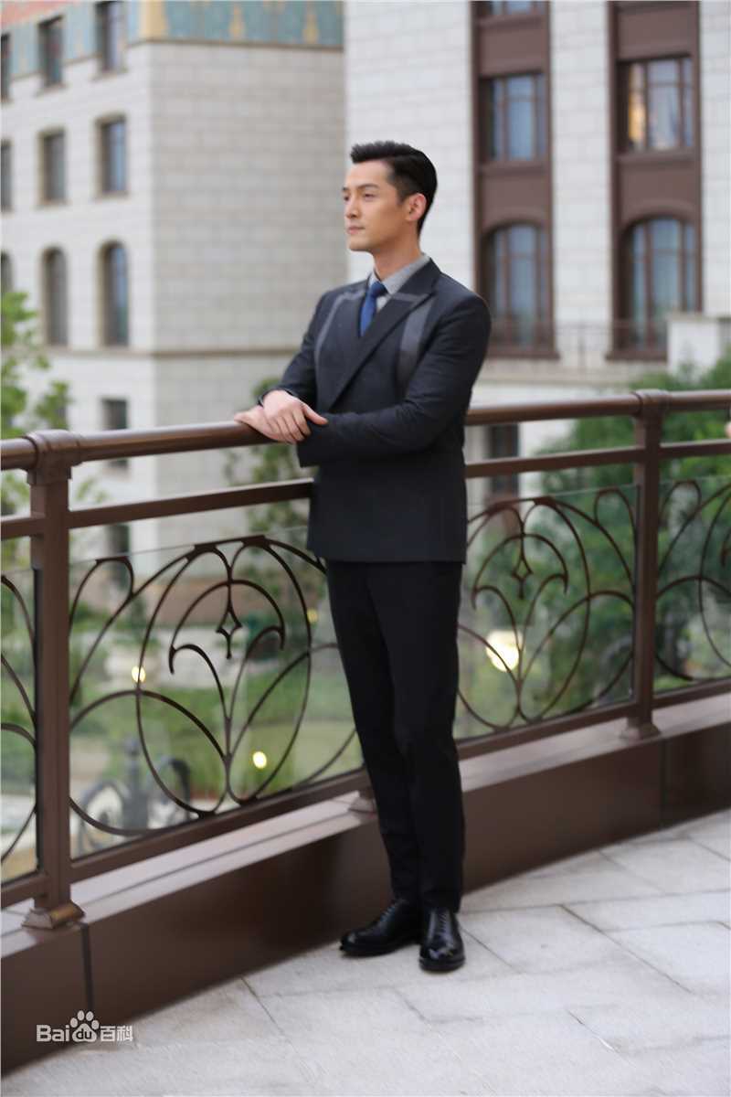 胡歌(Hugh)上海迪士尼开园盛典壁纸壁纸