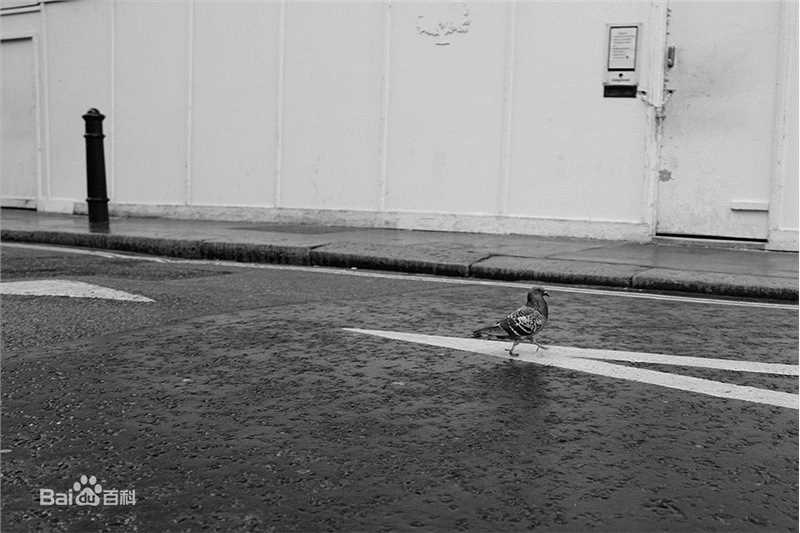 胡歌(Hugh)欧洲之行作品展性感图片图集