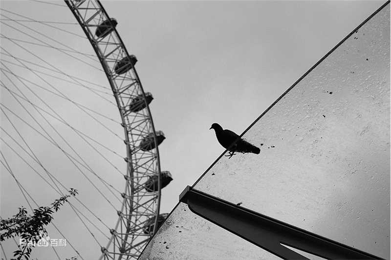 胡歌(Hugh)欧洲之行作品展性感图片图集