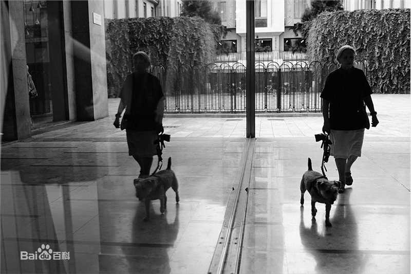 胡歌(Hugh)欧洲之行作品展性感图片图集