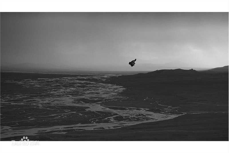 胡歌(Hugh)长江源环保公益行作品展图册