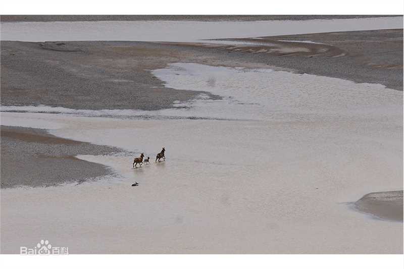 胡歌(Hugh)长江源环保公益行作品展图册