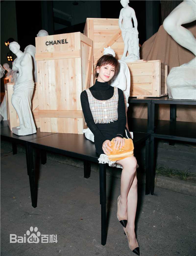 刘诗诗(Liu Shishi)香奈儿2017/18“古典的现代性”早春度假系列成都发布会图片图册