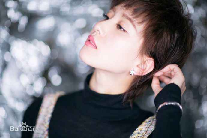 刘诗诗(Liu Shishi)香奈儿2017/18“古典的现代性”早春度假系列成都发布会图片图册