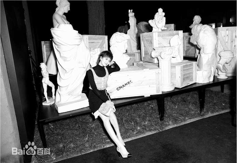 刘诗诗(Liu Shishi)香奈儿2017/18“古典的现代性”早春度假系列成都发布会图片图册