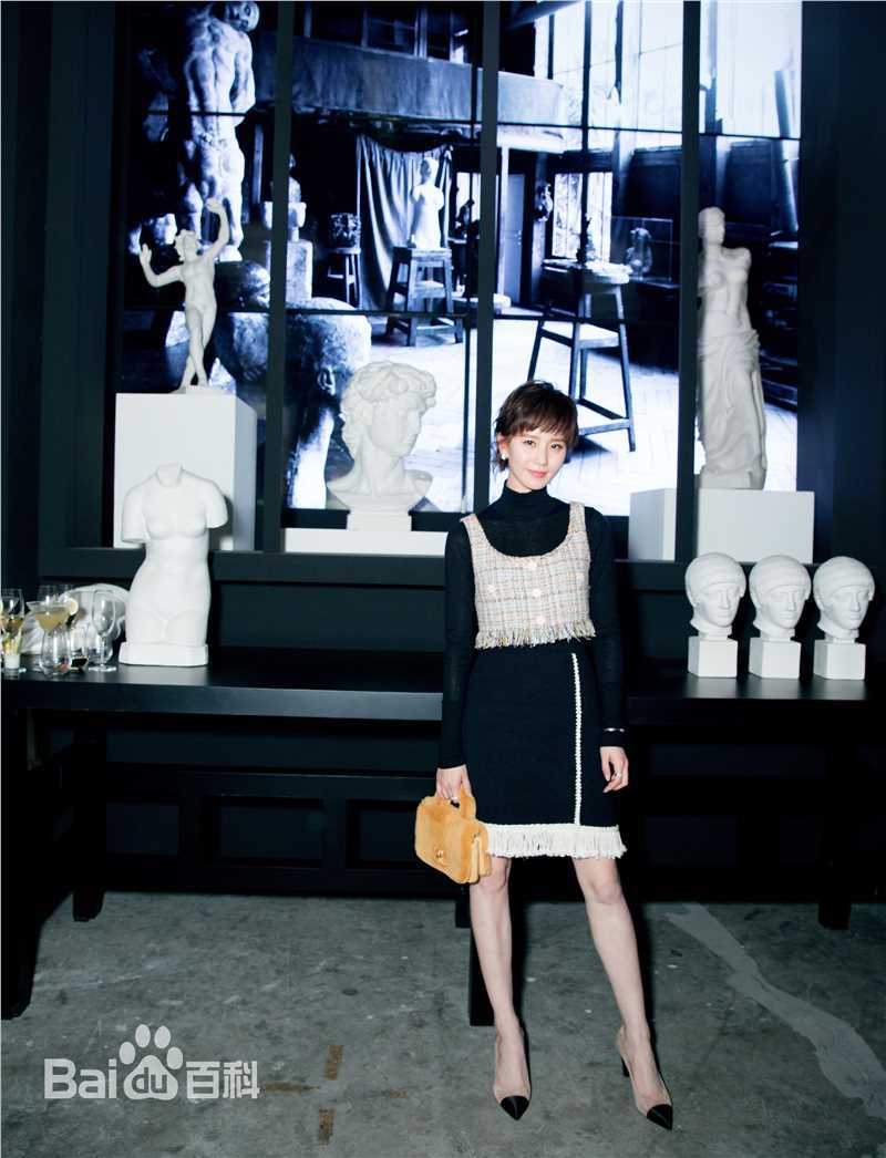 刘诗诗(Liu Shishi)香奈儿2017/18“古典的现代性”早春度假系列成都发布会图片图册