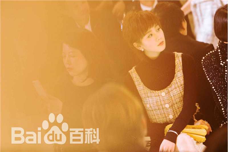 刘诗诗(Liu Shishi)香奈儿2017/18“古典的现代性”早春度假系列成都发布会图片图册