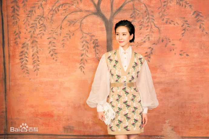 刘诗诗(Liu Shishi)香奈儿2017/18“古典的现代性”早春度假系列成都发布会图片图册