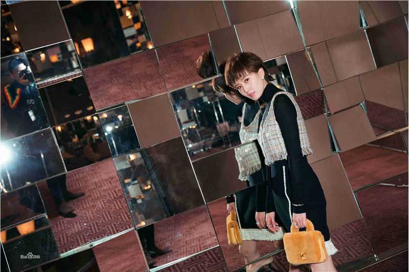 刘诗诗(Liu Shishi)香奈儿2017/18“古典的现代性”早春度假系列成都发布会图片图册