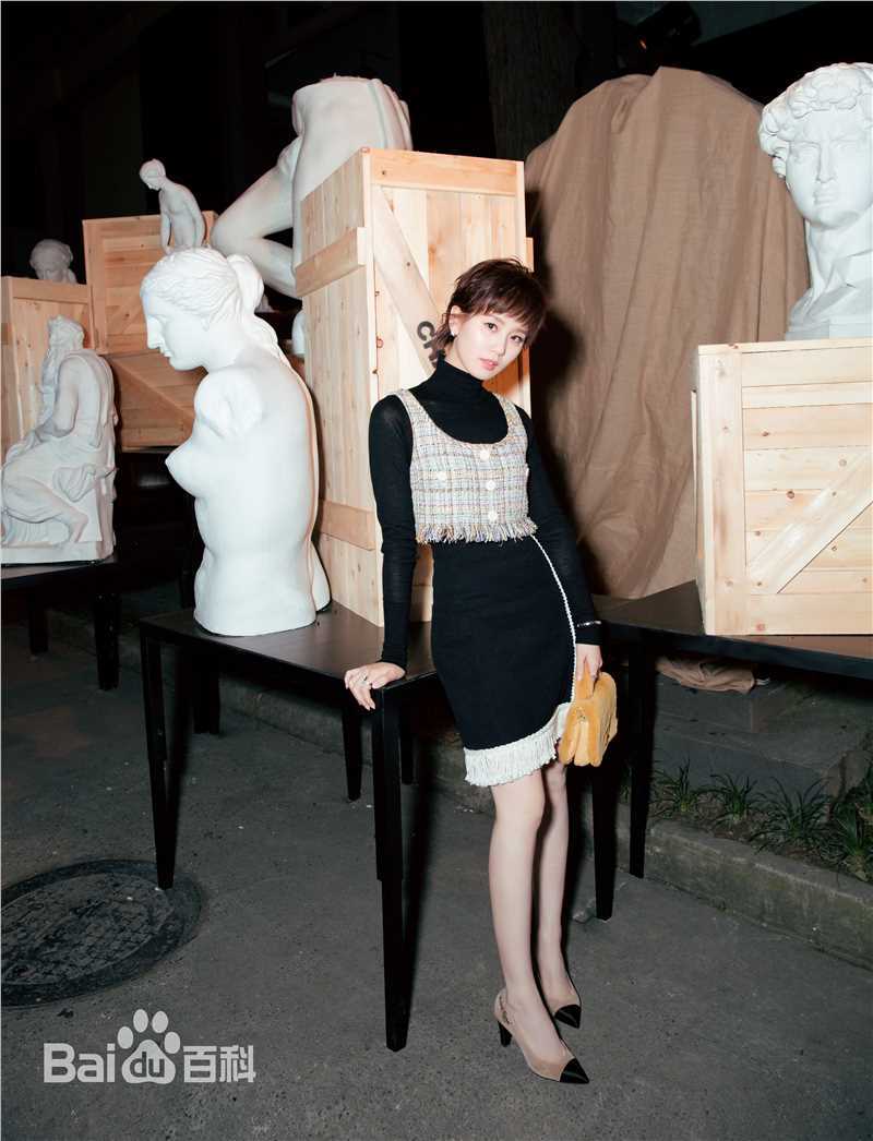 刘诗诗(Liu Shishi)香奈儿2017/18“古典的现代性”早春度假系列成都发布会图片图册
