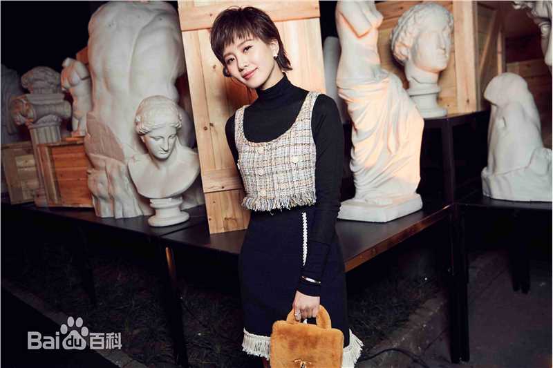 刘诗诗(Liu Shishi)香奈儿2017/18“古典的现代性”早春度假系列成都发布会图片图册