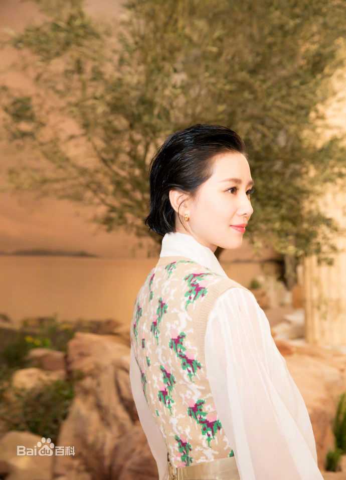 刘诗诗(Liu Shishi)香奈儿2017/18“古典的现代性”早春度假系列成都发布会图片图册